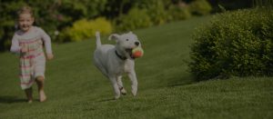 Dog and girl running